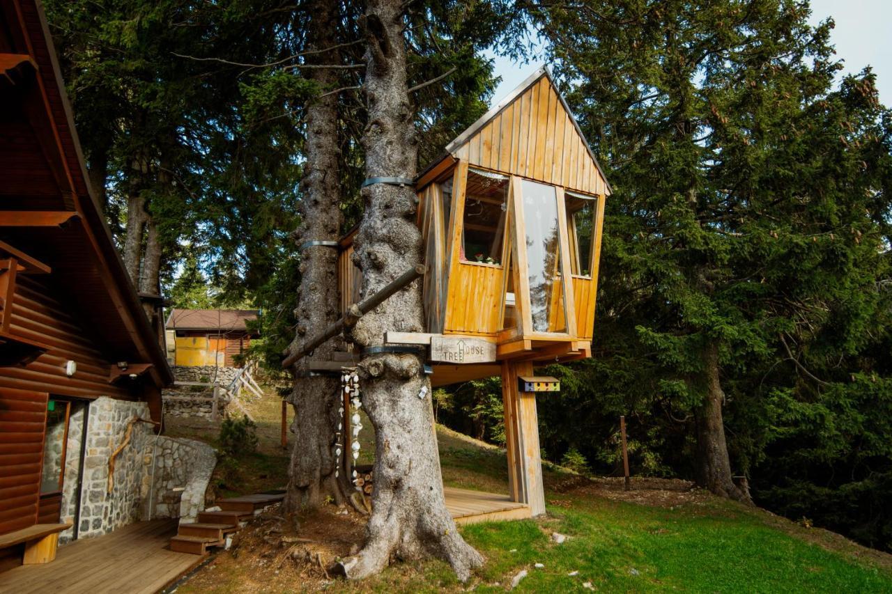 Holiday home Tree House Alpinka Krvavec Cerklje na Gorenjskem
