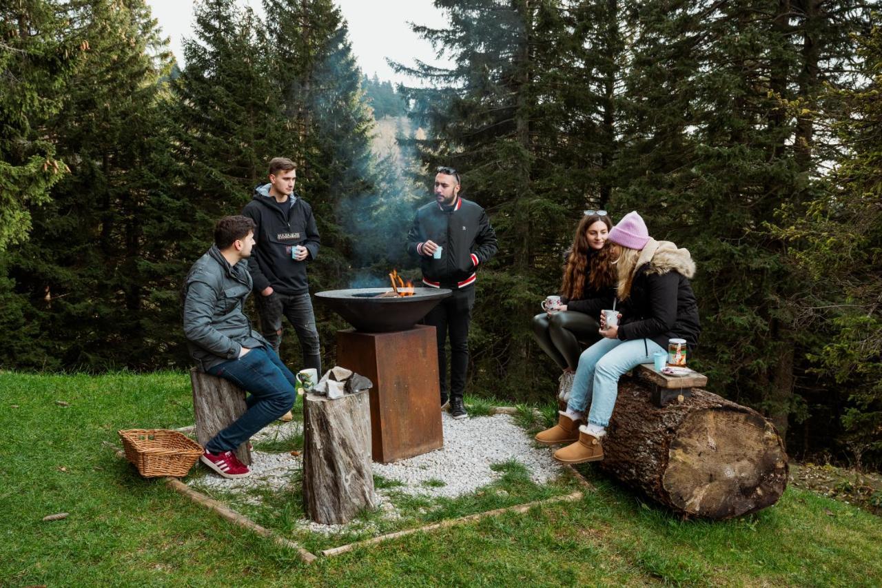 Tree House Alpinka Krvavec Holiday home *