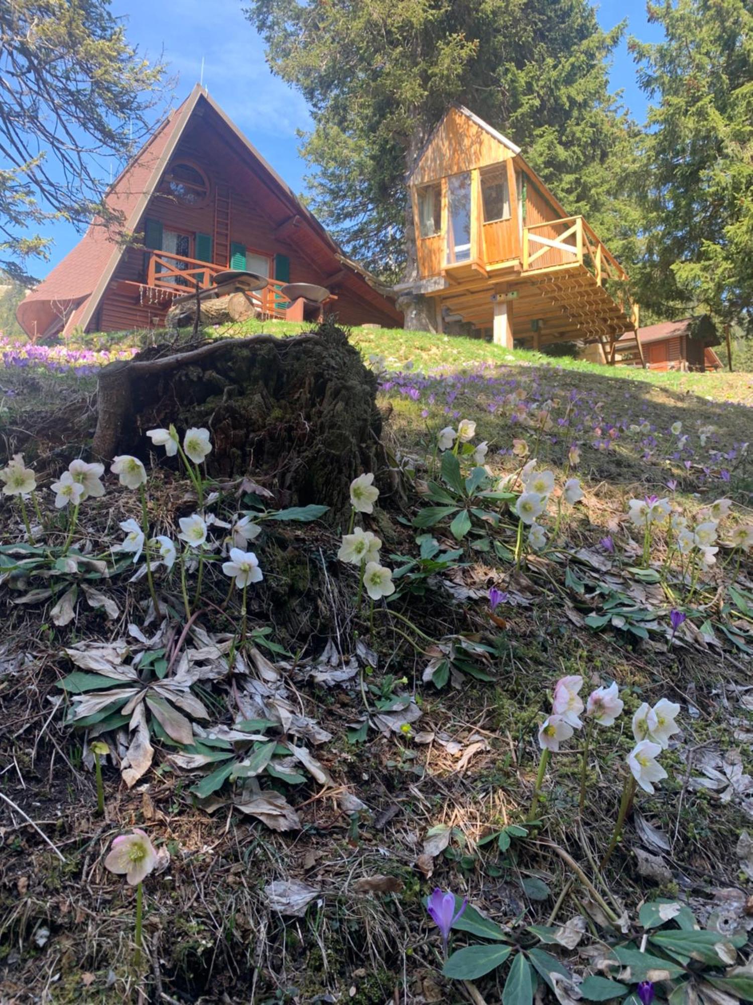 Tree House Alpinka Krvavec